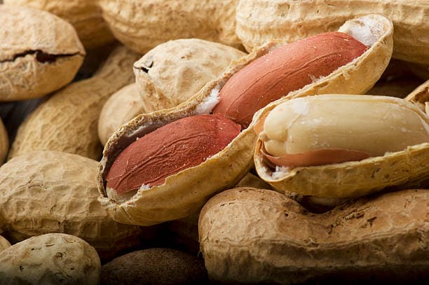 تصویر 2 از خرید بادام زمینی آستانه + قیمت فروش استثنایی